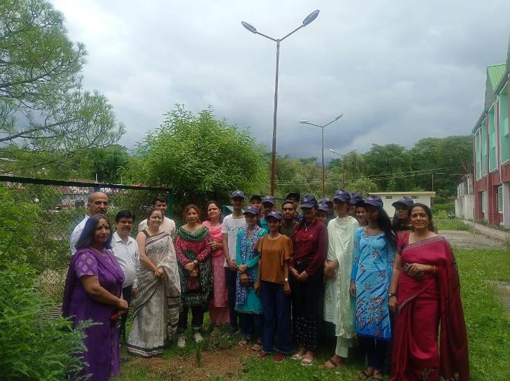 GC Palampur