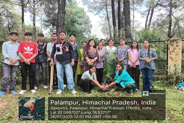 GC Palampur