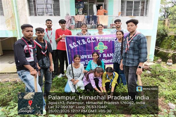 GC Palampur